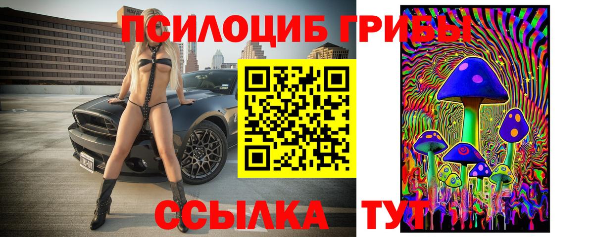 Псилоцибиновые грибы MAGIC MUSHROOMS Холмск
