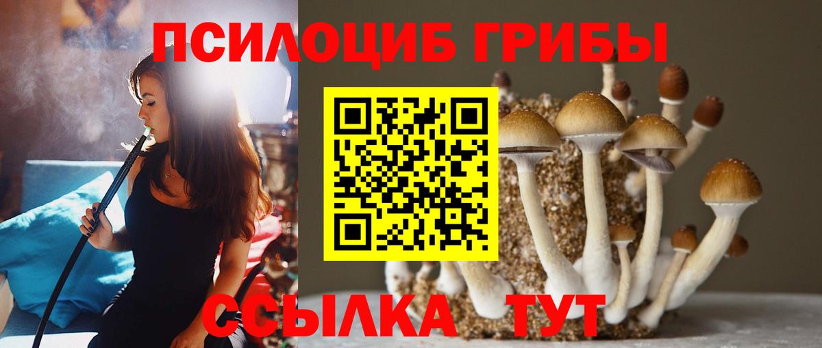 Псилоцибиновые грибы Magic Shrooms  Вход с VPN  Холмск 